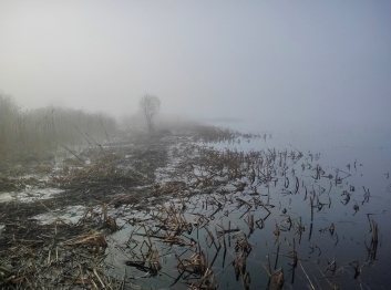 Совместная научная экспедиция по диагностике озера Плещеево