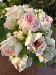 Клуб «Садовая Мастерская»: начало работы и первые встречи