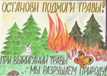 Стартовал конкурс «Сохраним леса от пожаров». Участвуйте! 