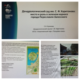 «Зелёный каркас города»: специалисты обсудили будущее озеленения городов