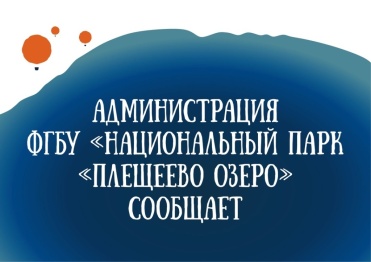 Разъяснения по моторам