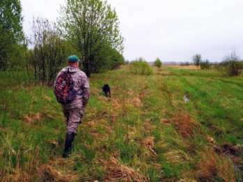 Охота в лесах Ярославской области запрещена. На время действия противопожарного режима