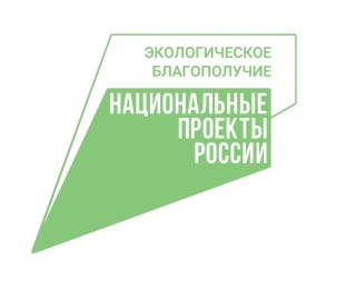 В национальном парке "Плещеево озеро" обновляют инфраструктуру в рамках нацпроекта "Экологическое благополучие"