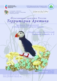 В Переславле-Залесском откроется выставка, посвященная флоре и фауне Арктики