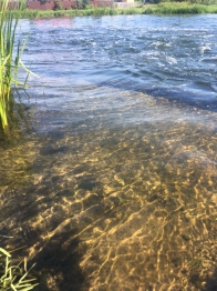 Мониторинг состояния реки Вёкса