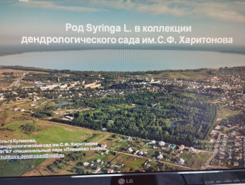 Онлайн участие в VIII международной конференции по сирени в г. Сантк - Петербург