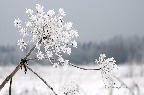 фото48