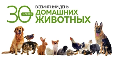 День защиты домашних животных