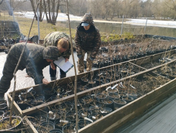 Начинается продажа саженцев в дендрологическом саду! 